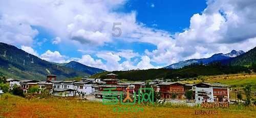 探探猫宝石岛3