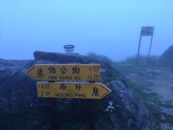 逗小猴开心系列210