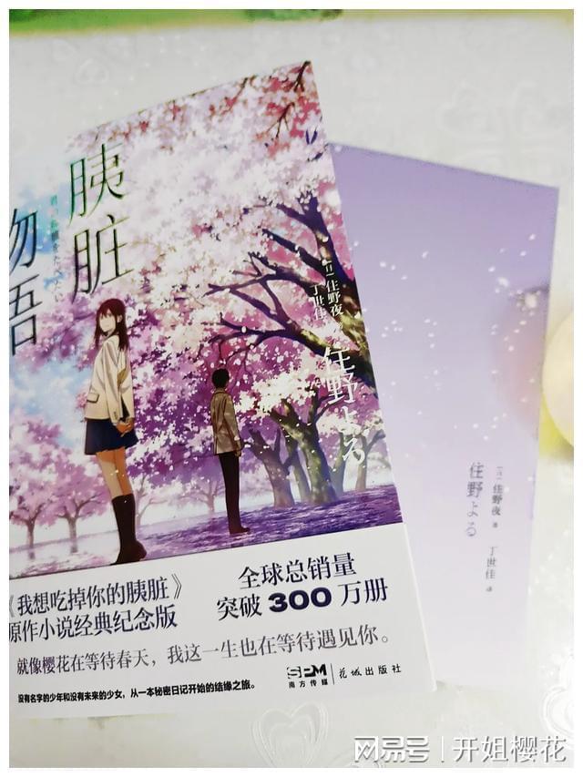 东坡肉和红烧肉区别在哪？游戏画面
